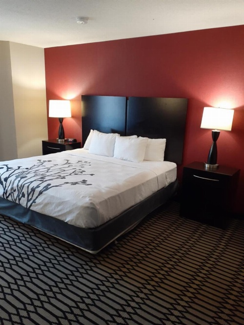 Sleep Inn & Suites BWI Airport image 13